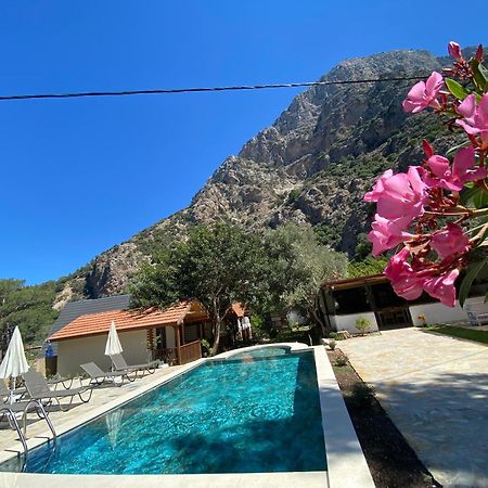 Kidrak Otel Montenegro-1 Фаралия Екстериор снимка